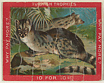 Blotched Genet, from the Jigsaw Puzzle Pictures series (T76) issued by Turkish Trophies Cigarettes, Turkish Trophies Cigarettes American, Commercial color lithograph