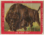 Bison, from the Jigsaw Puzzle Pictures series (T76) issued by Turkish Trophies Cigarettes, Turkish Trophies Cigarettes American, Commercial color lithograph