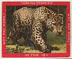 Leopard, from the Jigsaw Puzzle Pictures series (T76) issued by Turkish Trophies Cigarettes, Turkish Trophies Cigarettes American, Commercial color lithograph