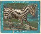Zebra, from the Jigsaw Puzzle Pictures series (T76) issued by Turkish Trophies Cigarettes, Turkish Trophies Cigarettes American, Commercial color lithograph