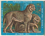 Cheetahs, from the Jigsaw Puzzle Pictures series (T76) issued by Turkish Trophies Cigarettes, Turkish Trophies Cigarettes American, Commercial color lithograph