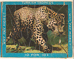 Leopard, from the Jigsaw Puzzle Pictures series (T76) issued by Turkish Trophies Cigarettes, Turkish Trophies Cigarettes American, Commercial color lithograph