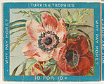 Poppies, from the Jigsaw Puzzle Pictures series (T76) issued by Turkish Trophies Cigarettes, Turkish Trophies Cigarettes American, Commercial color lithograph