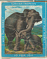 Elephants, from the Jigsaw Puzzle Pictures series (T76) issued by Turkish Trophies Cigarettes, Turkish Trophies Cigarettes American, Commercial color lithograph