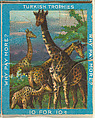 Giraffes, from the Jigsaw Puzzle Pictures series (T76) issued by Turkish Trophies Cigarettes, Turkish Trophies Cigarettes American, Commercial color lithograph