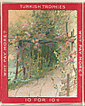 A Pathway with Flowers Blooming on Either Side, from the Jigsaw Puzzle Pictures series (T76) issued by Turkish Trophies Cigarettes, Turkish Trophies Cigarettes  American, Commercial color lithograph