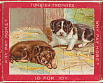Two Puppies, from the Jigsaw Puzzle Pictures series (T76) issued by Turkish Trophies Cigarettes, Turkish Trophies Cigarettes  American, Commercial color lithograph