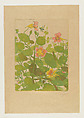 Nasturtiums, Charles Louis M. Houdard  French, Color etching and aquatint