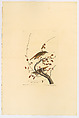 Hermit Thrush. Catharus guttatus [current name: Hermit Thrush. Turdus solitarius], from "The Birds of America," plate 58 [later LVIII], John James Audubon  American, born Haiti, Hand-colored etching, aquatint and engraving