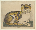Kitty, George White American, Hand-colored engraving