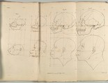 The Works of the late Professor Camper, on The Connexion [sic] between the Science of Anatomy and The Arts of Drawing, Painting, Statuary &c. &c., Pieter Camper  Netherlandish, Illustrations: etching and engraving