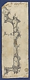 Pier Glass Frames, in Chippendale Drawings, Vol. I, Thomas Chippendale (British, baptised Otley, West Yorkshire 1718–1779 London), Black ink, gray wash