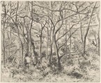 The Woods at L'Hermitage, Pontoise, Camille Pissarro French, Softground etching, aquatint, and drypoint on china paper; sixth state (per Shapiro)
