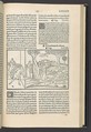 Methamorphoseos vulgare, Ovid (Roman, Sulmo 43 BCE–17 CE Tomis, Moesia), Printed book with woodcut illustrations