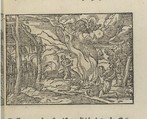 Icones historicae Veteris et Novi Testament, \ Bernard Salomon (French, ca. 1508–ca. 1561), Woodcuts