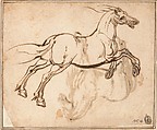 Study of a Horse (recto); Study of a Standing Horse (verso), Jacques Callot (French, Nancy 1592–1635 Nancy), Quill and reed pen and iron gall ink; minor evidence of leadpoint or graphite tracing of the standing horse visible on the recto