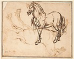 Study of a Horse (recto); Study of a Standing Horse (verso), Jacques Callot (French, Nancy 1592–1635 Nancy), Quill and reed pen and iron gall ink; minor evidence of leadpoint or graphite tracing of the standing horse visible on the recto
