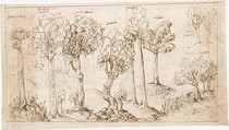 Recto: On Timber, the Species of Trees (Vitruvius, Book 2, Chapter 9, no. 4); Verso: On Timber, the Battle of Larignium (Vitruvius, Book 2, Chapter 9, no. 15).., Attributed to a member of the Sangallo family (Florence, ca. 1530–1545), Pen and dark brown ink