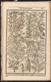 The Compleat Gardeners Practice, Directing the Exact Way of Gardening in three Parts, Stephen Blake (British, active 1664), Illustrations: engraving, woodcut