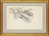 Large Pine, Study, Paul Cézanne (French, Aix-en-Provence 1839–1906 Aix-en-Provence), Graphite and watercolor