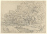 Plateau de la Mare aux Fées (Forest of Fontainebleau), Théodore Caruelle d'Aligny  French, Graphite