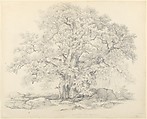 Tree and Rocks in the Forest of Fontainebleau, Eugène Stanislas Alexandre Bléry  French, Graphite