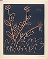 Plant with Little Bulls, Pablo Picasso  Spanish, Linoleum cut