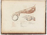 Anatomie du gladiateur combattant applicable aux beaux arts, ou Traité des os, des muscles, du mécanisme de mouvemens, de proportions et des caractères du corps humain (Anatomy of the Fighting Gladiator), Paris (Salvage), 1812, Written and illustrated and published by Jean-Galbert Salvage (French, 1770–1813), Folio volume (74 pp.) illustrated with 22 engravings printed in black and red ink; bound in red boards; red leather spine with gold-stamped ornament