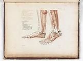 Anatomie du gladiateur combattant applicable aux beaux arts, ou Traité des os, des muscles, du mécanisme de mouvemens, de proportions et des caractères du corps humain (Anatomy of the Fighting Gladiator), Paris (Salvage), 1812, Written and illustrated and published by Jean-Galbert Salvage (French, 1770–1813), Folio volume (74 pp.) illustrated with 22 engravings printed in black and red ink; bound in red boards; red leather spine with gold-stamped ornament