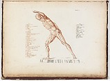 Anatomie du gladiateur combattant applicable aux beaux arts, ou Traité des os, des muscles, du mécanisme de mouvemens, de proportions et des caractères du corps humain (Anatomy of the Fighting Gladiator), Paris (Salvage), 1812, Written and illustrated and published by Jean-Galbert Salvage (French, 1770–1813), Folio volume (74 pp.) illustrated with 22 engravings printed in black and red ink; bound in red boards; red leather spine with gold-stamped ornament