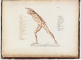 Anatomie du gladiateur combattant applicable aux beaux arts, ou Traité des os, des muscles, du mécanisme de mouvemens, de proportions et des caractères du corps humain (Anatomy of the Fighting Gladiator), Paris (Salvage), 1812, Written and illustrated and published by Jean-Galbert Salvage (French, 1770–1813), Folio volume (74 pp.) illustrated with 22 engravings printed in black and red ink; bound in red boards; red leather spine with gold-stamped ornament