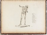 Anatomie du gladiateur combattant applicable aux beaux arts, ou Traité des os, des muscles, du mécanisme de mouvemens, de proportions et des caractères du corps humain (Anatomy of the Fighting Gladiator), Paris (Salvage), 1812, Written and illustrated and published by Jean-Galbert Salvage (French, 1770–1813), Folio volume (74 pp.) illustrated with 22 engravings printed in black and red ink; bound in red boards; red leather spine with gold-stamped ornament