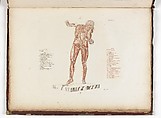 Anatomie du gladiateur combattant applicable aux beaux arts, ou Traité des os, des muscles, du mécanisme de mouvemens, de proportions et des caractères du corps humain (Anatomy of the Fighting Gladiator), Paris (Salvage), 1812, Written and illustrated and published by Jean-Galbert Salvage (French, 1770–1813), Folio volume (74 pp.) illustrated with 22 engravings printed in black and red ink; bound in red boards; red leather spine with gold-stamped ornament