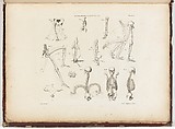 Anatomie du gladiateur combattant applicable aux beaux arts, ou Traité des os, des muscles, du mécanisme de mouvemens, de proportions et des caractères du corps humain (Anatomy of the Fighting Gladiator), Paris (Salvage), 1812, Written and illustrated and published by Jean-Galbert Salvage (French, 1770–1813), Folio volume (74 pp.) illustrated with 22 engravings printed in black and red ink; bound in red boards; red leather spine with gold-stamped ornament