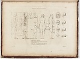Anatomie du gladiateur combattant applicable aux beaux arts, ou Traité des os, des muscles, du mécanisme de mouvemens, de proportions et des caractères du corps humain (Anatomy of the Fighting Gladiator), Paris (Salvage), 1812, Written and illustrated and published by Jean-Galbert Salvage (French, 1770–1813), Folio volume (74 pp.) illustrated with 22 engravings printed in black and red ink; bound in red boards; red leather spine with gold-stamped ornament