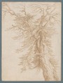 Study of a Tree, Jacques de Gheyn II Netherlandish, Pen and brown ink over black chalk