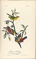 After John James Audubon | The Birds of America from Drawings Made in ...