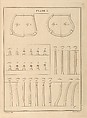 London Chair-Makers' and Carvers' Book of Prices, for Workmanship..., T. Sorrell (London), Illustrations: engraving