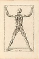 Tabulae Anatomicae, Barth. Eustachius  Italian