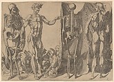 Two Flayed Men and Their Skeletons, Domenico del Barbiere (Italian, Florence (?) 1506–1565 Paris), Engraving