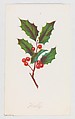 Holly, from "Autumn Leaves", Part 2, Louis Prang & Co.  American, Color lithograph