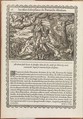 Figures Historiques du Vieux Testament, Attributed to Jean Cousin the Younger (French, Sens ca. 1522–1594 Paris), Woodcuts
