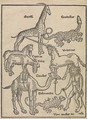Peregrinatio in terram sanctam., Bernhard von Breydenbach (German, Mainz 1440?–?1497 Mainz), Woodcuts