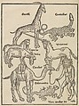 Peregrinatio in terram sanctam., Bernhard von Breydenbach (German, Mainz 1440?–?1497 Mainz), Woodcuts