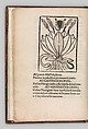 Herbarium, Pseudo-Apuleius Platonicus (North African (?), active 4th century CE), Woodcut, some hand colored
