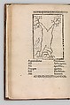 Herbarium, Pseudo-Apuleius Platonicus (North African (?), active 4th century CE), Woodcut, some hand colored