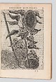 Specimen historiae plantarum, Paul de Reneaulme (French, 1560–1624), Printed book, containing 25 etched plates