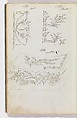 Scrapbook of Designs for Embroidered Waistcoats, Fabrique de Saint Ruf  , Lyon, Pen and ink