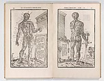 De dissectione partium corporis humani libri tres, Charles Estienne (French, Paris ca. 1504–1564 Paris), Woodcut
