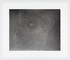 Untitled (Web 4), Vija Celmins American, born Latvia, One-color photogravure with burnishing and drypoint